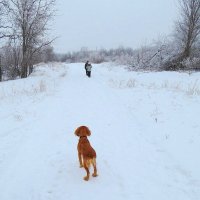 С нечеловеческим терпением ) :: Natali 