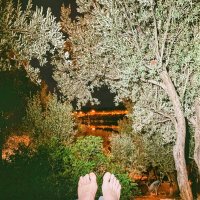 Ночь туриста :: Георгиевич 