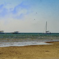 Каспий :: Анатолий Чикчирный