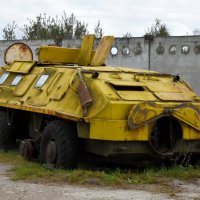 Московская область. Серпухов. Ферма «Русский страус». :: Наташа *****