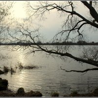 Пришла унылая пора.... :: Aleksandr Gal