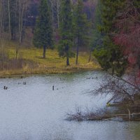 Мой город - ОСЕНЬ, НОЯБРЬ :: Владимир Максимов