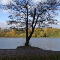 Озеро Лесное, Калининград :: Рита Симонова Озеро Лесное, Калининград :: Рита Симонова