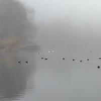 В тумане. :: Владимир Безбородов В тумане. :: Владимир Безбородов