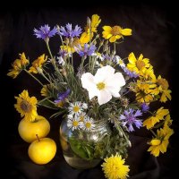 Цветы ноября... :: TAMARA КАДАНОВА