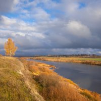 **** :: Елизавета .