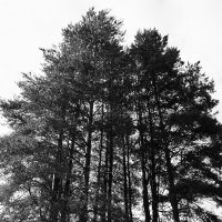 Фотография :: Денис Безногов Фотография :: Денис Безногов