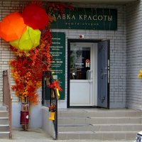 Осеннее настроение :: Татьяна Смоляниченко