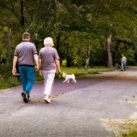 Прогулка :: Людмила Фил