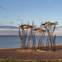 карельские фишки. "рыбки" :: navalon M