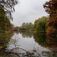 Пруд в ноябре... :: Николай Гирш Пруд в ноябре... :: Николай Гирш