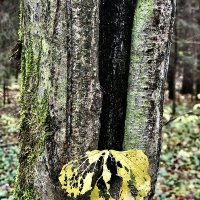 Ажурная обработка!) :: Любовь 