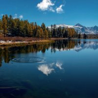 *** :: владимир 