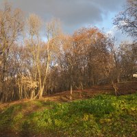 Разноцветный ноябрь :: Олег Манаенков