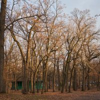 Комната смеха :: Олег Манаенков