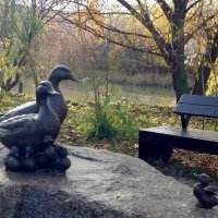 Утиные истории на берегу :: Galina Solovova