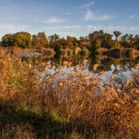 Пруд у поселка. :: Сергей Воротников