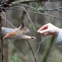 Падаждитеее!!! :: Александр Кондаков