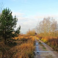 Дорога :: Андрей Снегерёв Дорога :: Андрей Снегерёв