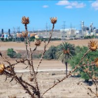 Октябрь :: Валерий Готлиб