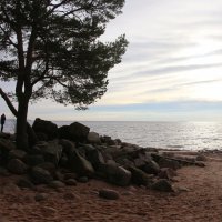 Репино :: Наталья Герасимова