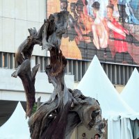 все смешалось :: Олег Лукьянов