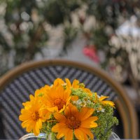 Кусочек лета :: Оксана Новик 