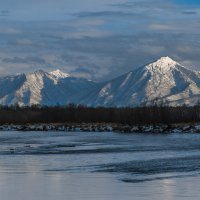 ... :: Жора Житников