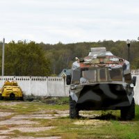 Московская область. Серпухов. Ферма «Русский страус». :: Наташа *****
