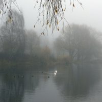 В тумане. :: Владимир Безбородов