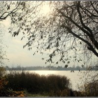 Ноябрь.... :: Aleksandr Gal