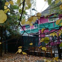 *** :: Валентина Береснева