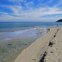 1. Из моря в речку на нерест. :: ИРЭН@ . 1. Из моря в речку на нерест. :: ИРЭН@ .