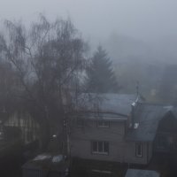 Ноябрь, начало дня. :: Петр Беляков