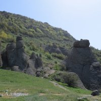 Природа Крыма :: Amazing Cosmea Природа Крыма :: Amazing Cosmea