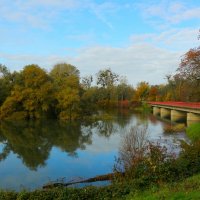 Ноябрьский день :: Юрий. Шмаков