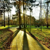 ноябрьское солнце :: АЛЕКСАНДР 