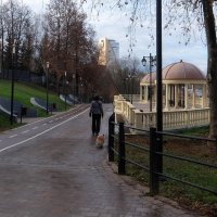 На утренней прогулке. :: Люба 