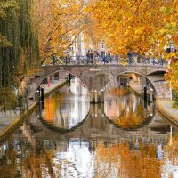 Золотая осень в Утрехте... :: Elena Ророva Золотая осень в Утрехте... :: Elena Ророva