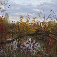 Природа лучший художник :: Нина северянка