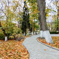 Аллеи осени! :: Надежда Аллеи осени! :: Надежда