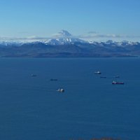 Авачинская бухта(губа) :: Сергей Швечков Авачинская бухта(губа) :: Сергей Швечков