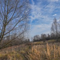 Под небом ноября... :: Владимир Жданов