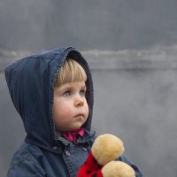 Поля. :: Сергей Рожков