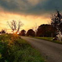 sunset :: Elena Wymann