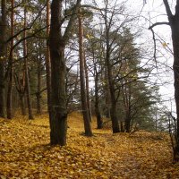 Репино :: Наталья Герасимова Репино :: Наталья Герасимова