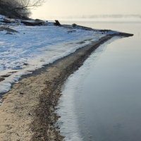 ракушка, берег Москвы-реки :: Наталия 