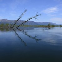 **** :: Александр Хаецкий