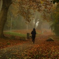 Утреняя пробежка :: Юрий. Шмаков