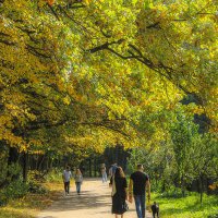 Ботанический сад. Теплая осень в Останкино :: Александр Лебедевъ